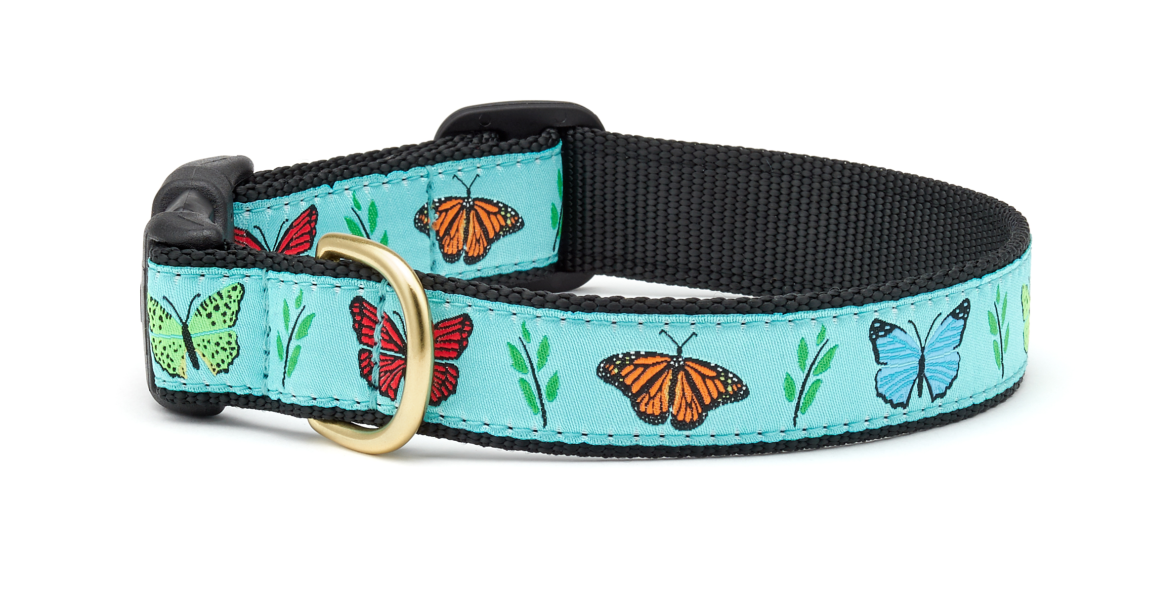 Butterfly 2025 dog collar